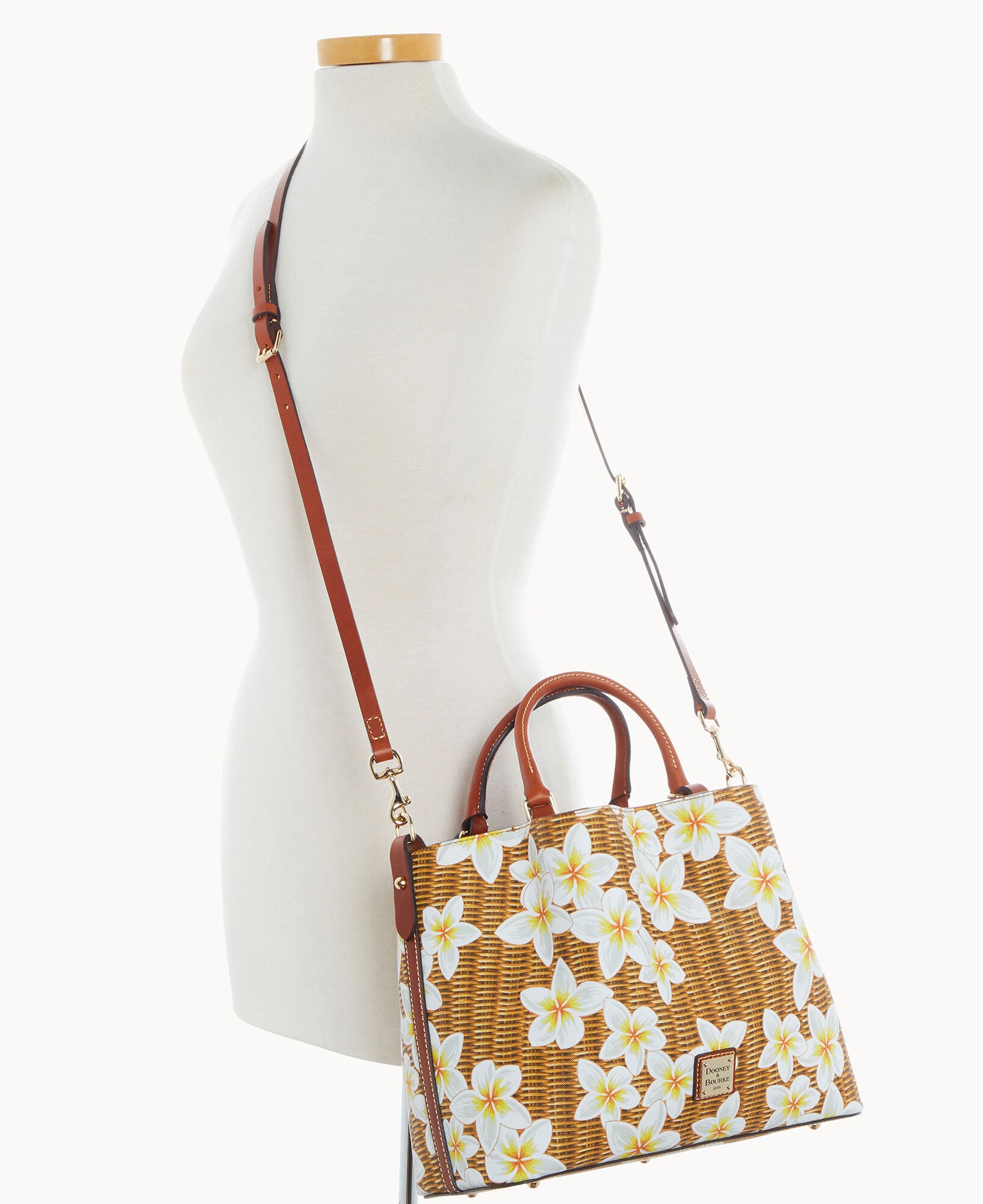 Plumeria Brenna - Image 4